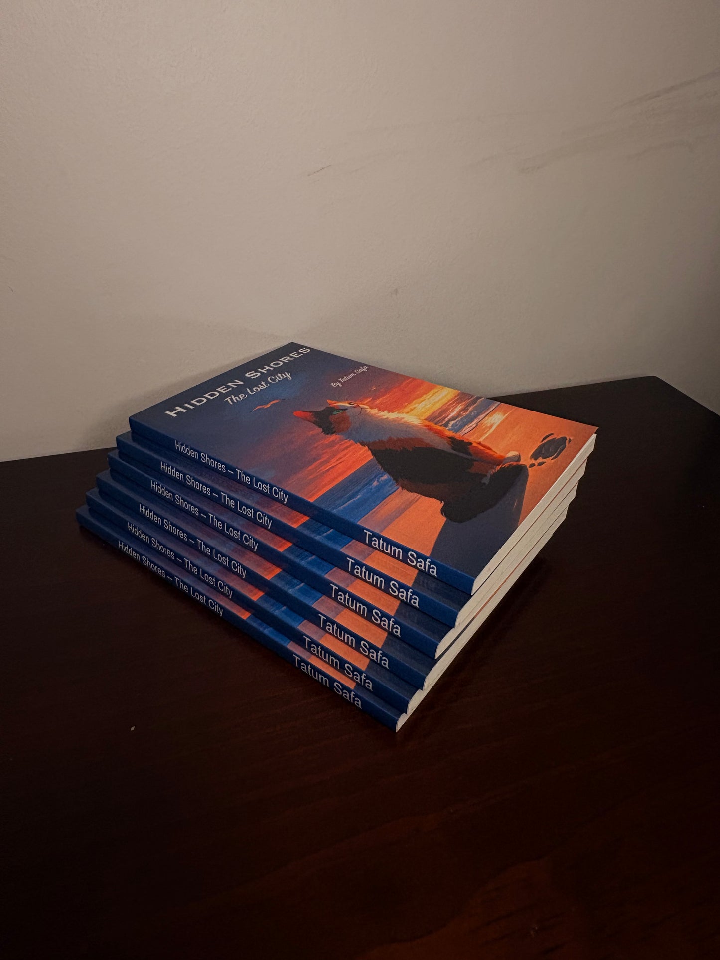 Hidden Shores the Lost City