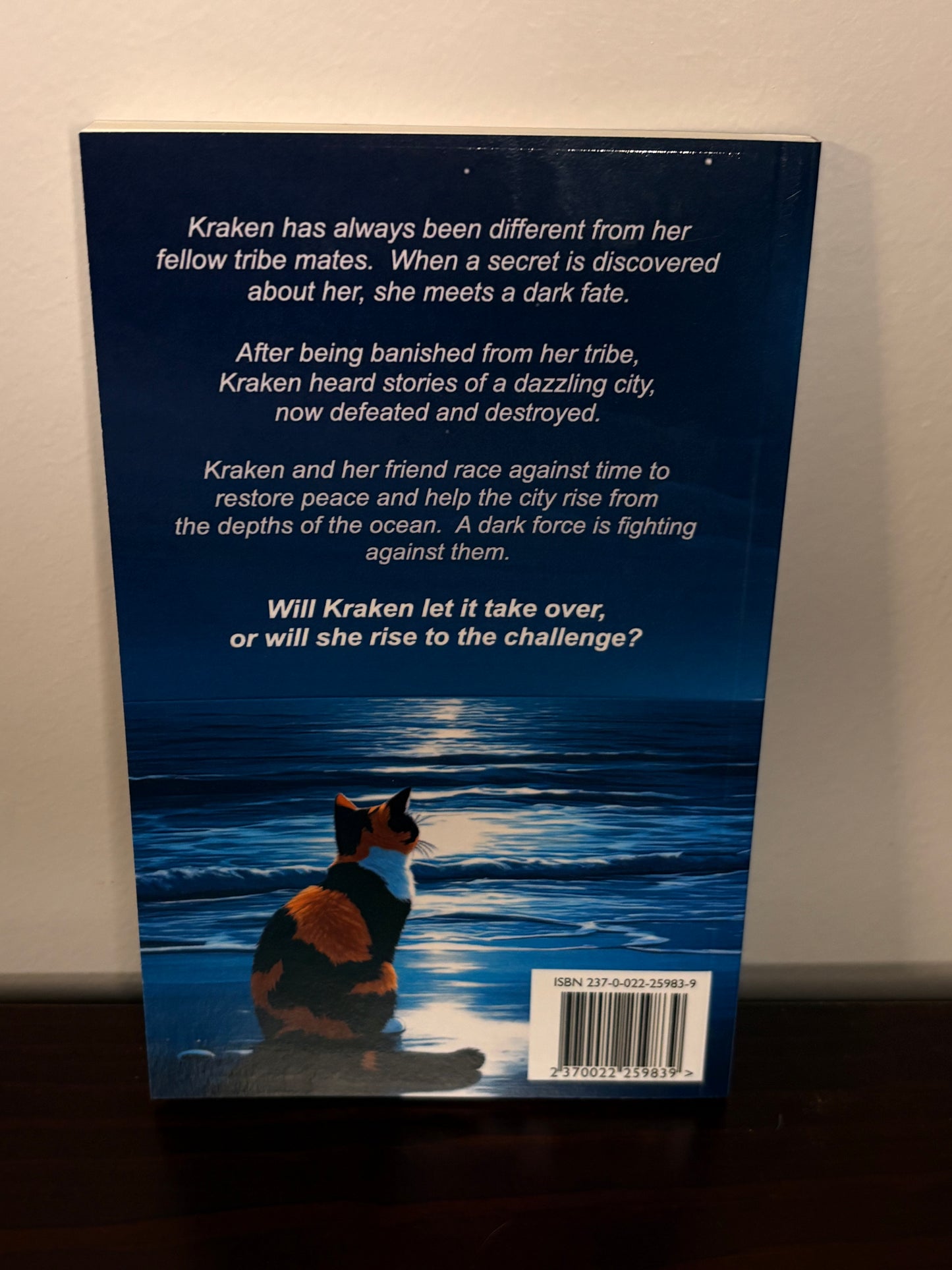 Hidden Shores the Lost City