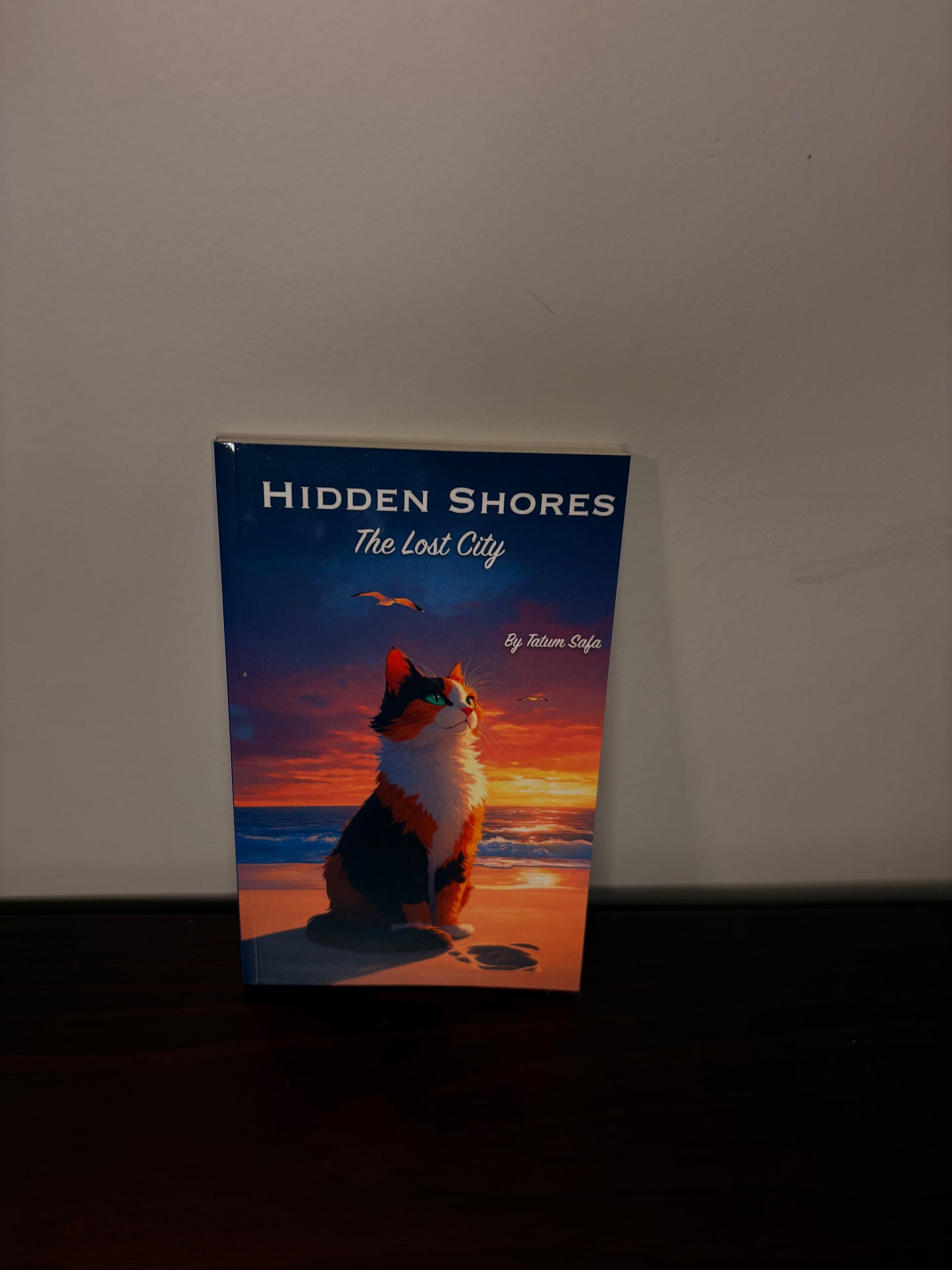 Hidden Shores the Lost City